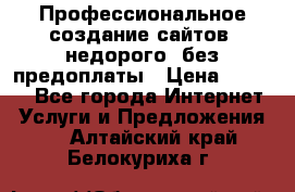 Профессиональное создание сайтов, недорого, без предоплаты › Цена ­ 5 000 - Все города Интернет » Услуги и Предложения   . Алтайский край,Белокуриха г.